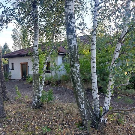 Apartment Gnubbel Am Wald ไวส์วาสเซอร์ ภายนอก รูปภาพ